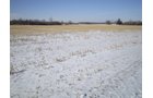 Property photo 5 - 76 Acres Offered in 4 Tracts